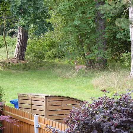 Gemuetliches In Ottenhai Mit Grill
