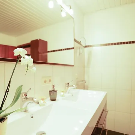 Apartamento Gemuetliches In Ottenhai Mit Grill *