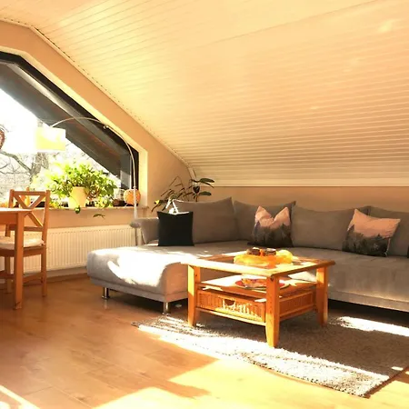 Gemuetliches In Ottenhai Mit Grill Apartamento *