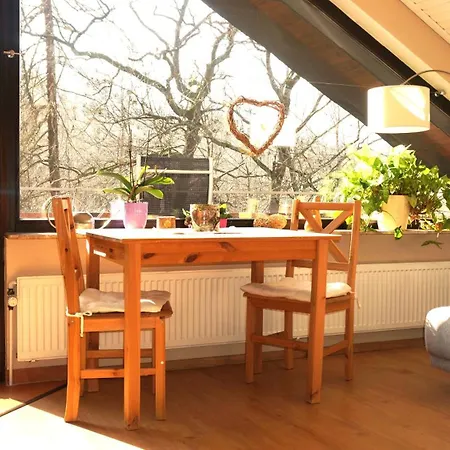 Apartamento Gemuetliches In Ottenhai Mit Grill Bad Harzburg